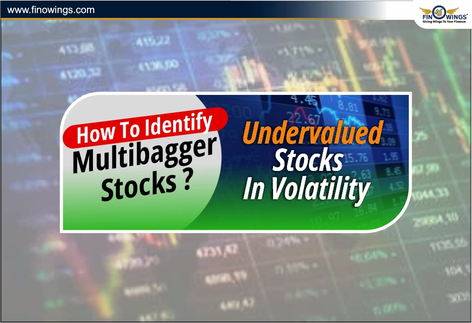 How To Identify Multibagger Stocks